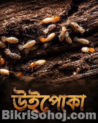 Raj Pest Control Service